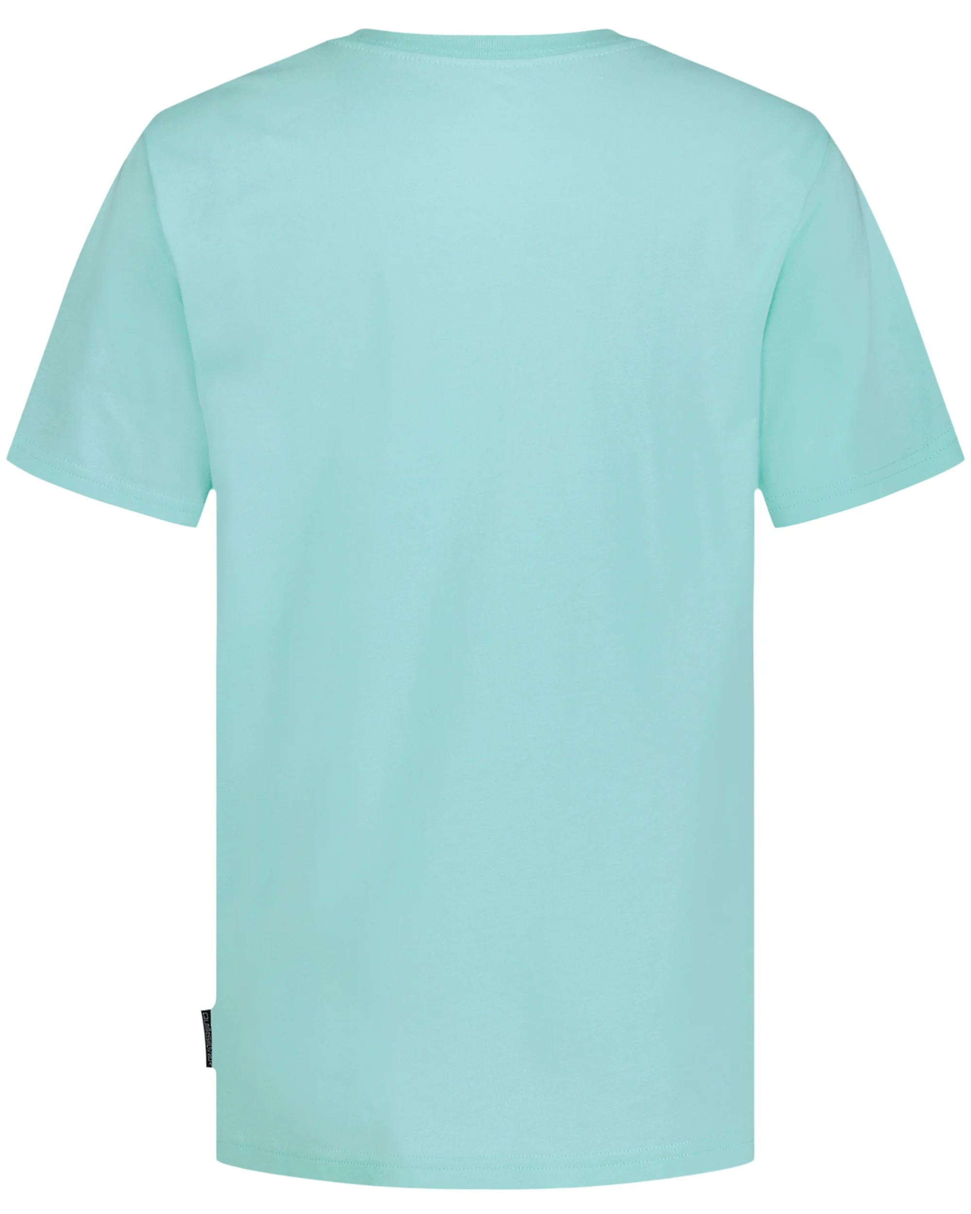 Boys Pizza And Pineapple Short Sleeve T-Shirt 2 Boys Pizza And Pineapple Short Sleeve T-Shirt